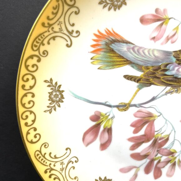 Set 2 Mitterteich Bavaria Germany 7.5" Decorative Bird Plates with Gold Accents - Picture 11 of 12